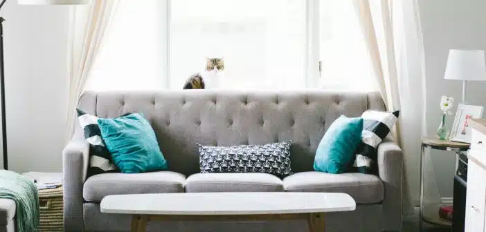 Coussins pour canapé : rehausser toute sa beauté !